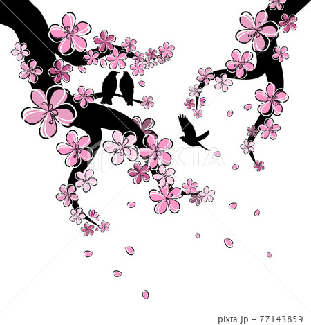 A branch of sakura with falling petals With flying birds . Vector illustration 77143859
