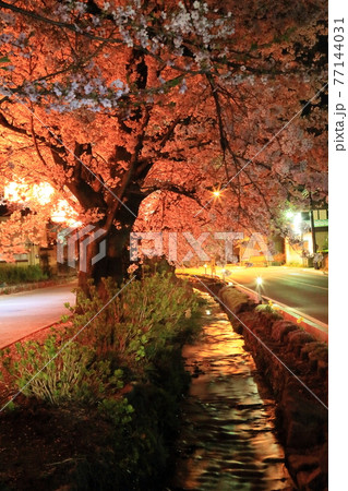 甘楽町小幡の夜景 77144031