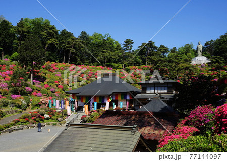 4月　青梅96観音像と護摩堂･つつじまつり･塩船観音寺 77144097