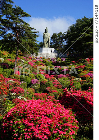 4月 青梅74観音像とつつじまつり 塩船観音寺の写真素材