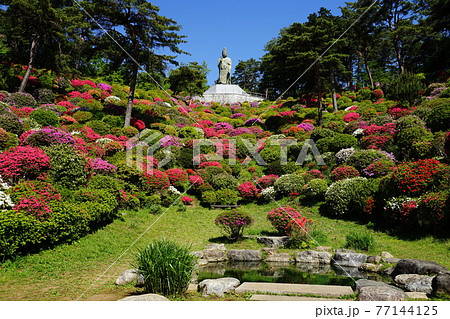 4月 青梅68観音像と観音池つつじまつり 塩船観音寺の写真素材