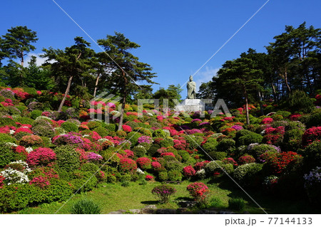 4月 青梅60観音像とつつじまつり 塩船観音寺の写真素材 4月 青梅60観音像とつつじまつり 塩船観音寺の写真素材