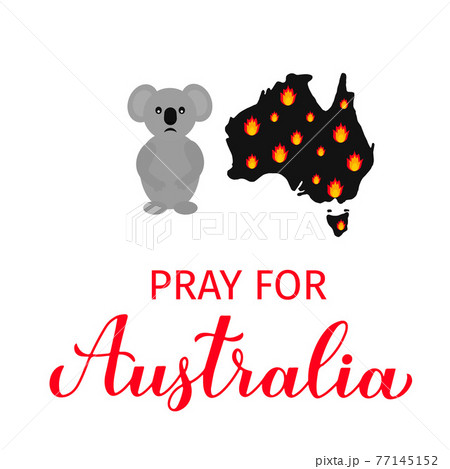 Pray for Australia lettering with Australian map in fire and sad cartoon koala isolated on white. Vector template for banner, typography poster, flyer, sticker, etc. 77145152