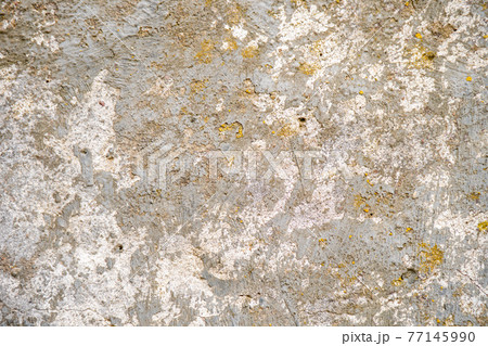 Concrete wall covered with moss, background for designer. Rough stone texture. Concrete wall covered with moss, background for designer. Rough stone texture. 77145990