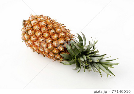 完熟パイナップル(台湾産) 完熟パイナップル(台湾産) 77146010