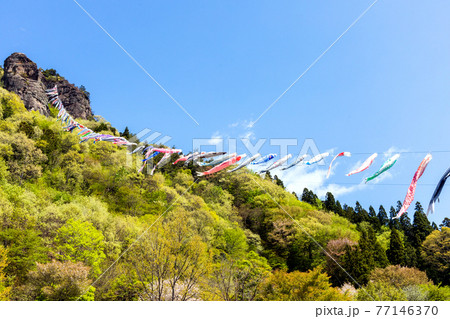 嵩山にかかる鯉のぼり 嵩山にかかる鯉のぼり 77146370