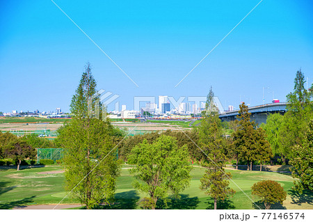 荒川土手から 早春の風景 河川敷ゴルフ場 さいたま新都心方面 荒川土手から 早春の風景 河川敷ゴルフ場 さいたま新都心方面 77146574