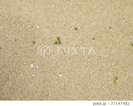 砂浜_渡具知ビーチ_泊城公園（沖縄県読谷村渡具知） 77147482