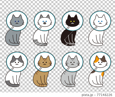 Full-body set of various cat breeds with Elizabethan collar 77148226