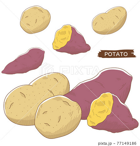 芋セットのイラスト素材