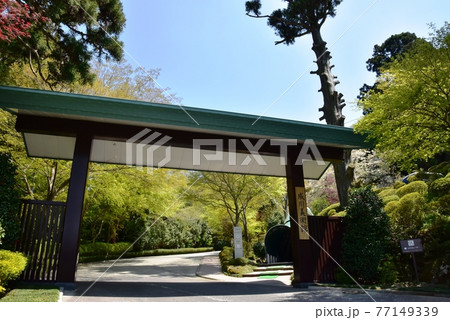 箱根町 成川美術館入口の門と新緑 箱根町 成川美術館入口の門と新緑 77149339