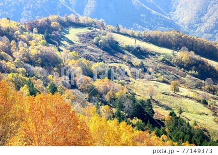 山田牧場の紅葉 77149373