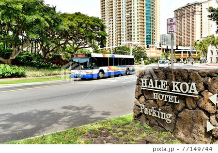 ハワイの休日 ハワイの休日 77149744