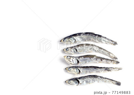 煮干し　にぼし 77149883