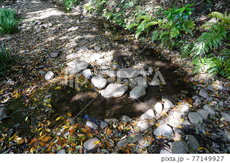 有賀神社 泉（相模原市） 77149927