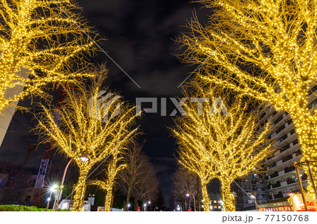 光が丘団地のイルミネーション　東京 77150768