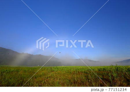 高原の虹霧 77151234