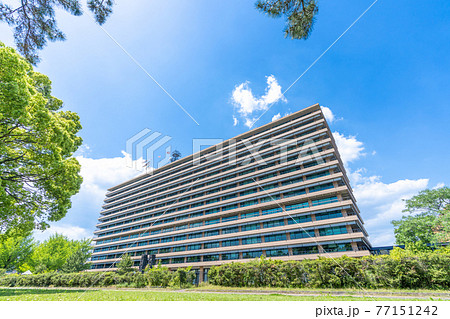 熊本県庁_熊本県熊本市中央区 77151242