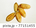 wheat 77151455