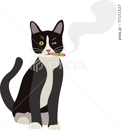 喫煙する猫のキャラクターのイラスト素材
