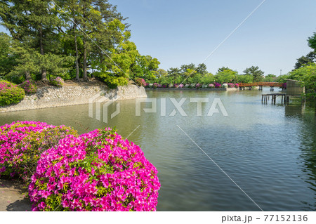 九華公園（桑名城跡） 77152136