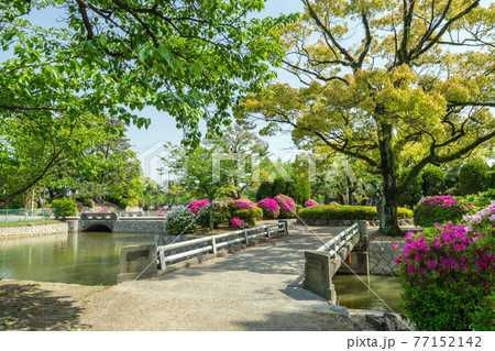 九華公園（桑名城跡） 77152142