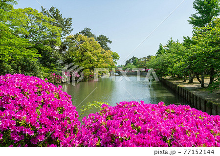 九華公園(桑名城跡) 九華公園(桑名城跡) 77152144