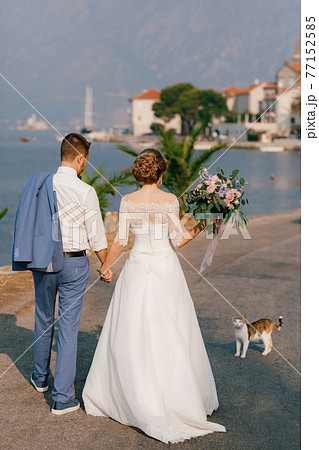 The bride and groom stand on the pier holding hands and look at the cat, the bride holds a bouquet in her hand  77152585