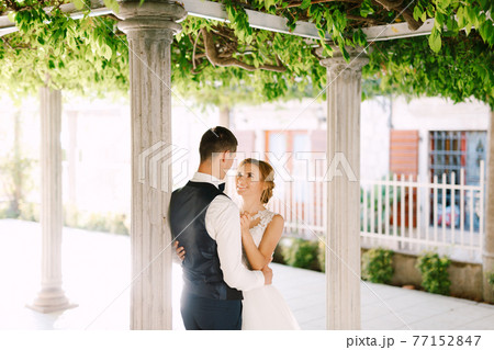 The bride and groom stand between the columns under beautiful green liana in old town, hugging and smiling The bride and groom stand between the columns under beautiful green liana in old town, hugging and smiling 77152847