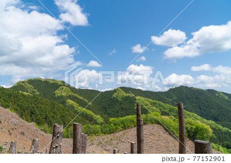 登山道から見た岩茸石山(左)と高水山(右)(奥多摩・高水三山) 登山道から見た岩茸石山(左)と高水山(右)(奥多摩・高水三山) 77152901