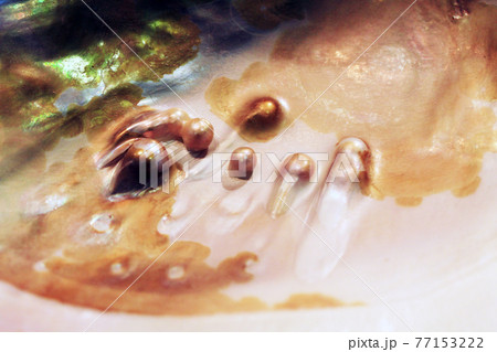 abstract natural pearl texture 77153222