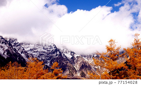 上高地の紅葉 上高地の紅葉 77154028