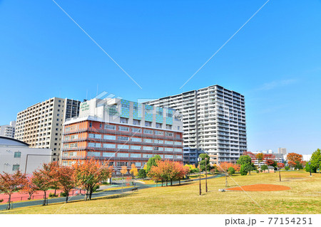 汐入公園(東京都荒川区)【2020.11】 汐入公園(東京都荒川区)【2020.11】 77154251