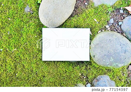 苔むした地面と石と白紙の長方形のカードのモックアップ 77154397