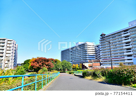 東白髭公園(東京都墨田区)【2020.11】 東白髭公園(東京都墨田区)【2020.11】 77154411