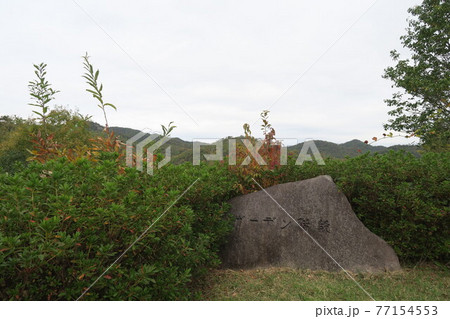 有馬富士公園～ガーデン階段～ 77154553
