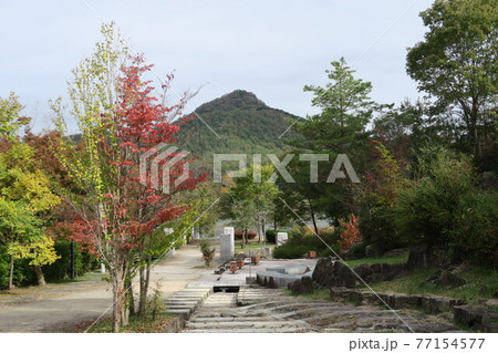 有馬富士公園～ロックガーデン～ 77154577