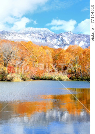 雨飾高原・鎌池の紅葉 77154619