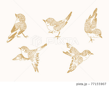 すずめの手書きイラストセットのイラスト素材