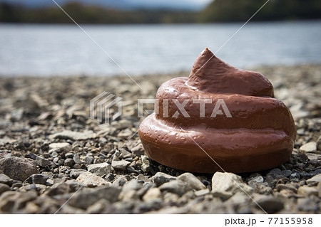 野外のウンチ 77155958