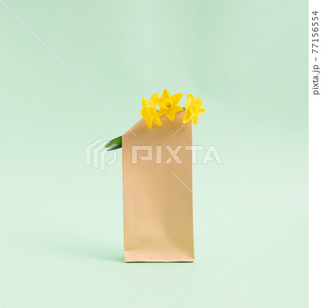 Bouquet of hyacinths flowers in a brown paper bag on a pastel light green background. Minimalist concept. Square 77156554