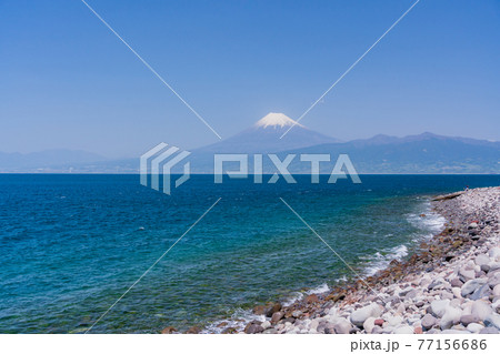 (静岡県)大瀬崎(おせざき)から海越しの富士山 (静岡県)大瀬崎(おせざき)から海越しの富士山 77156686