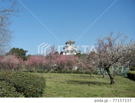 日本のお城：再興された長浜城と長浜城歴史博物館 77157237
