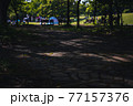 遊歩道に落ちる木漏れ日　―　カラー 77157376