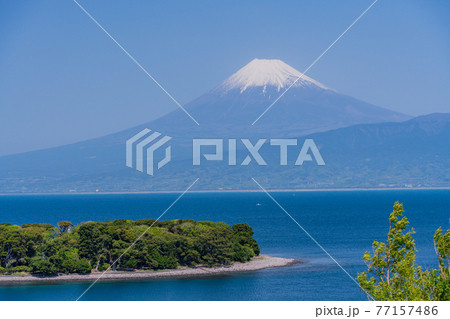 (静岡県)大瀬崎(おせざき)から海越しの富士山 (静岡県)大瀬崎(おせざき)から海越しの富士山 77157486