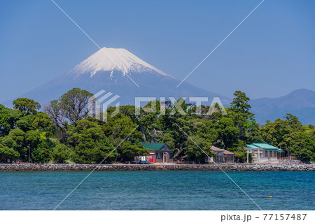 (静岡県)大瀬崎(おせざき)から海越しの富士山 (静岡県)大瀬崎(おせざき)から海越しの富士山 77157487