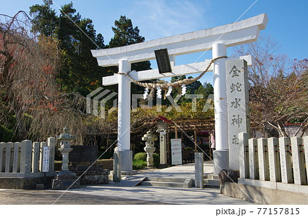 金蛇水神社の白い鳥居(宮城県岩沼市) 金蛇水神社の白い鳥居(宮城県岩沼市) 77157815
