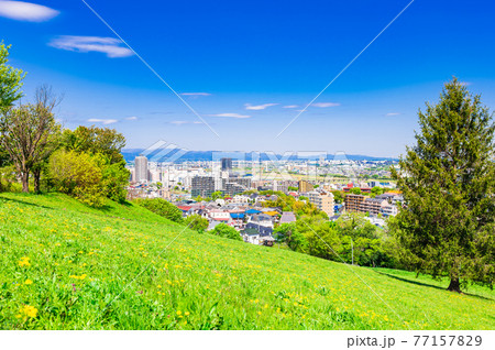 新緑の丘から眺める住宅地 77157829