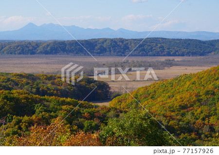 北海道釧路湿原国立公園のサルボ展望台から見る秋の釧路湿原 北海道釧路湿原国立公園のサルボ展望台から見る秋の釧路湿原 77157926