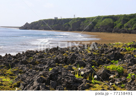 沖縄の風景（沖縄本島最南端 秘境 荒崎岬） 77158491